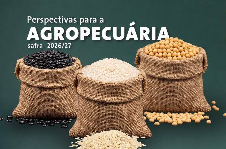 Conab projeta safra de grãos 2026/27 em 366,6 milhões de toneladas e gera expectativa