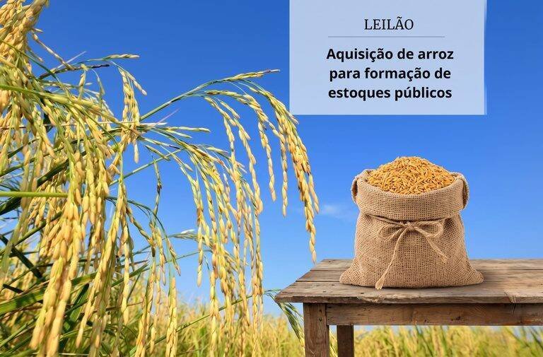 Conab realiza leilão de arroz e destina R$ 500 milhões para estoques públicos