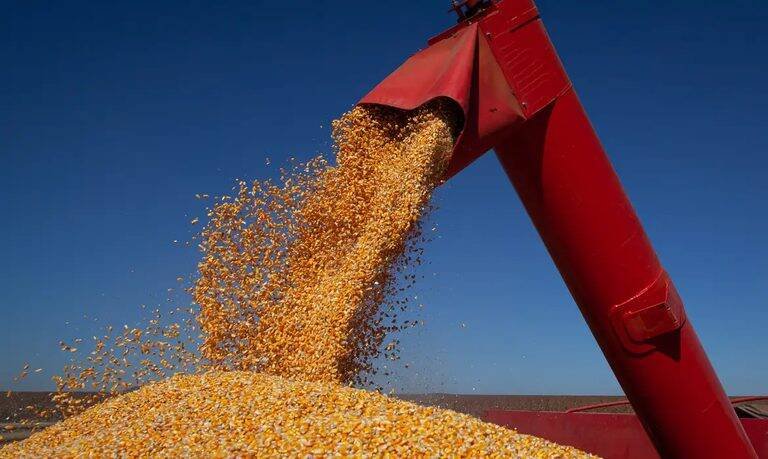 Conab revela produção recorde de grãos e queda drástica na produção de trigo