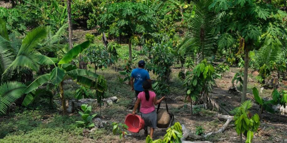 Gilmer Yuimachi e Xenia López alertam sobre seca que ameaça culturas na Amazônia