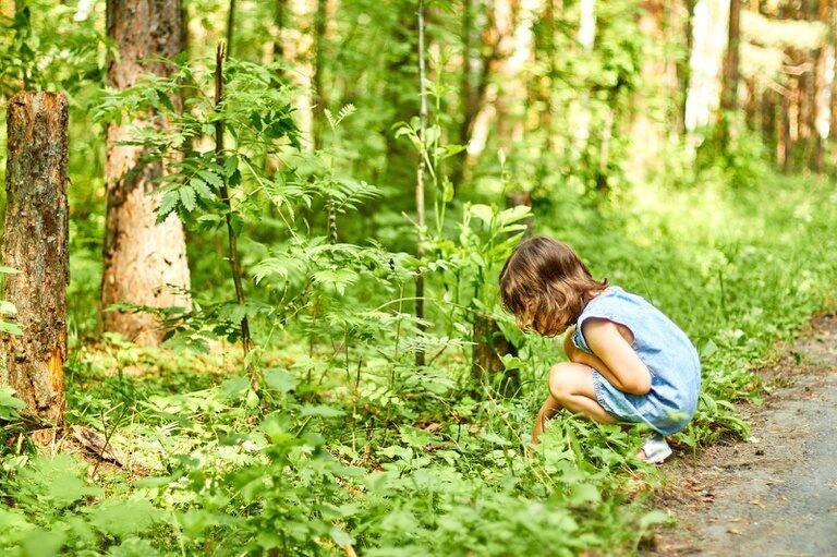 Governo Federal sanciona lei que garante direito de crianças à natureza em crise