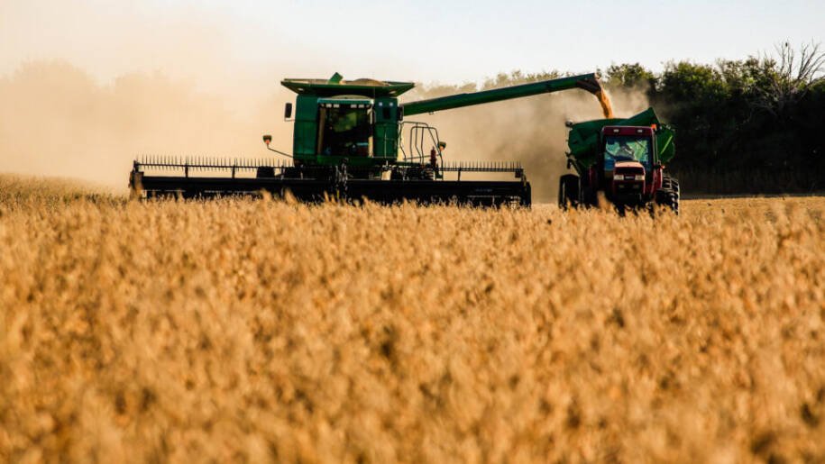 IBGE revela que agropecuária salvou PIB do Brasil com crescimento de 2,8%