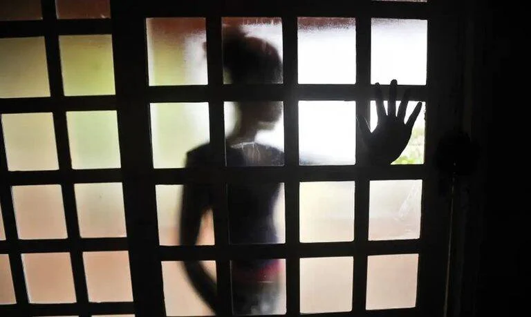 Lei nº 15.516/2026 estabelece protocolo de atendimento a vítimas de violência