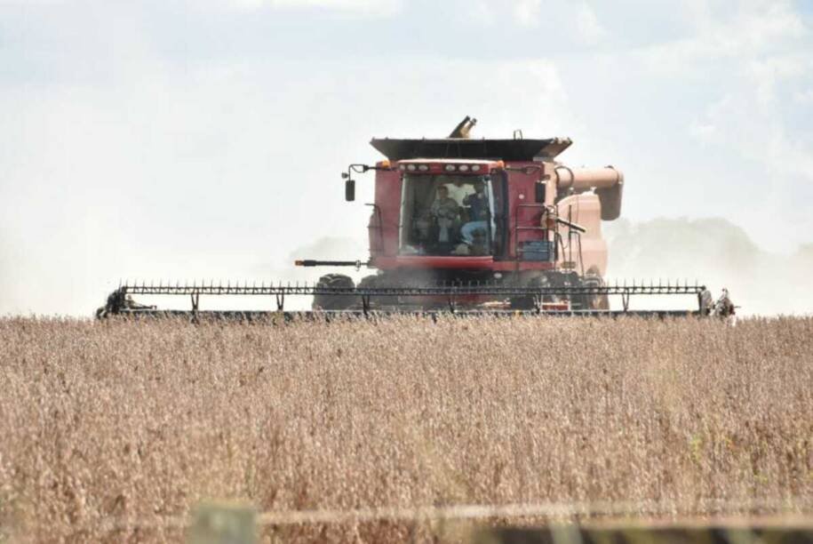 Mato Grosso do Sul não tem cidades no Top 10 da produção agrícola em 2025