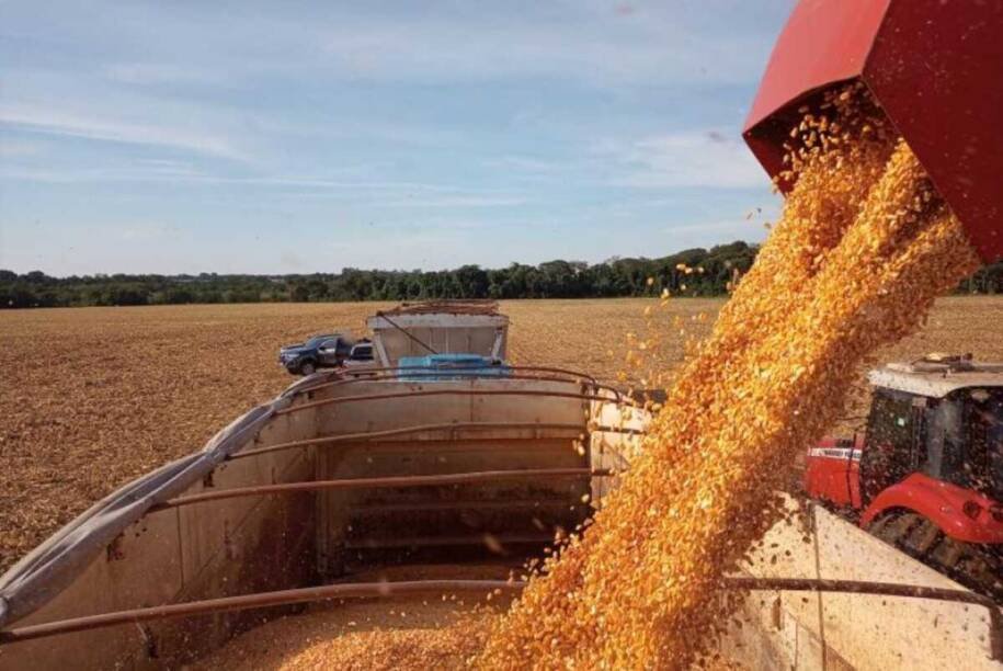 Mato Grosso do Sul registra crescimento histórico de 33,9% na produção agrícola