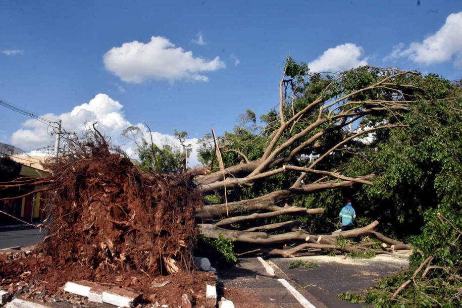 Prefeitura de Campo Grande decreta emergência após temporal devastador