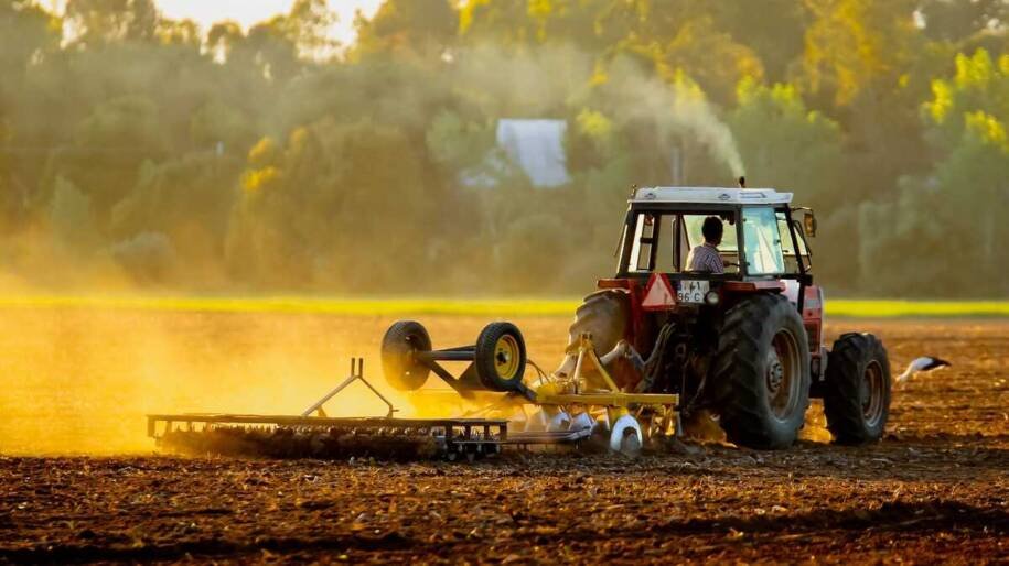 Prefeitura de Campo Grande revela R$ 1 bilhão em produção agrícola em 2025
