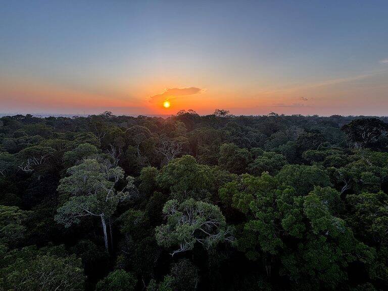 Rádio Nacional do Alto Solimões destaca preservação da Amazônia com Adriana Ribeiro