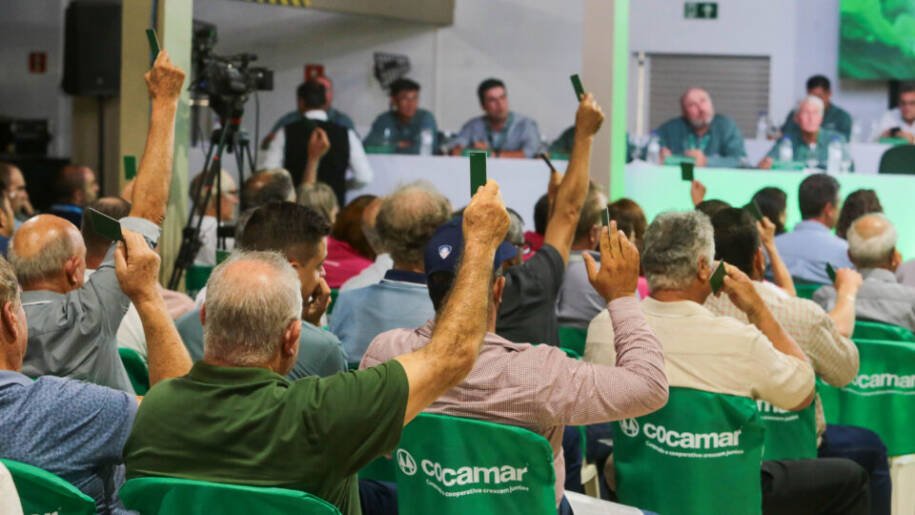 Cocamar distribui R$ 4 milhões em sobras e encerra 2025 com lucro de R$ 512 milhões