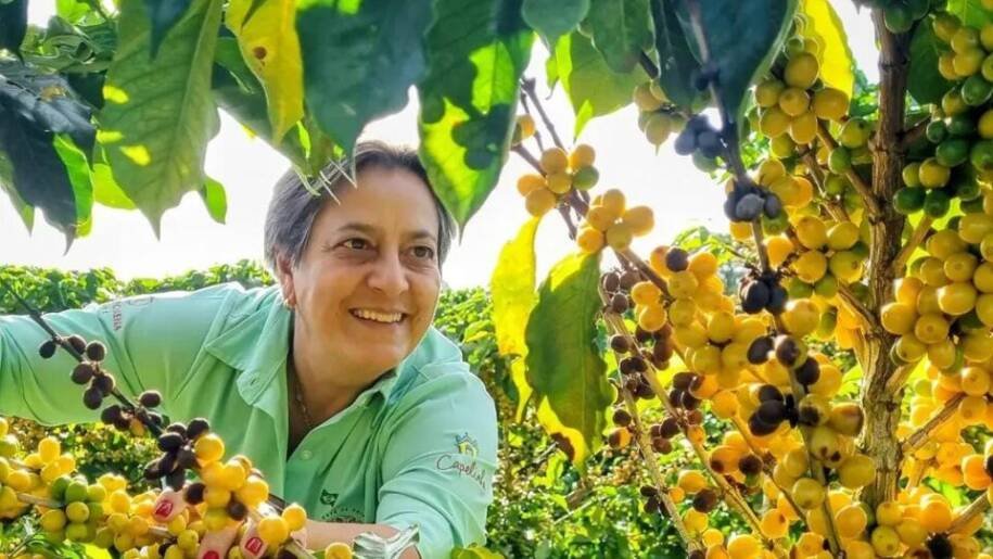 Cooxupé garante R$ 622 milhões a cafeicultores após decisão do TRF6 sobre Funrural