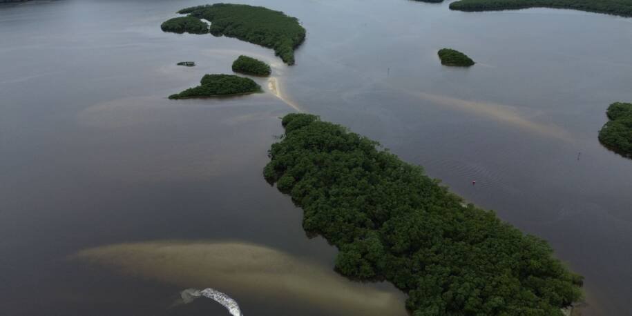 COP17 da CDB revela que países falham em cumprir metas de biodiversidade