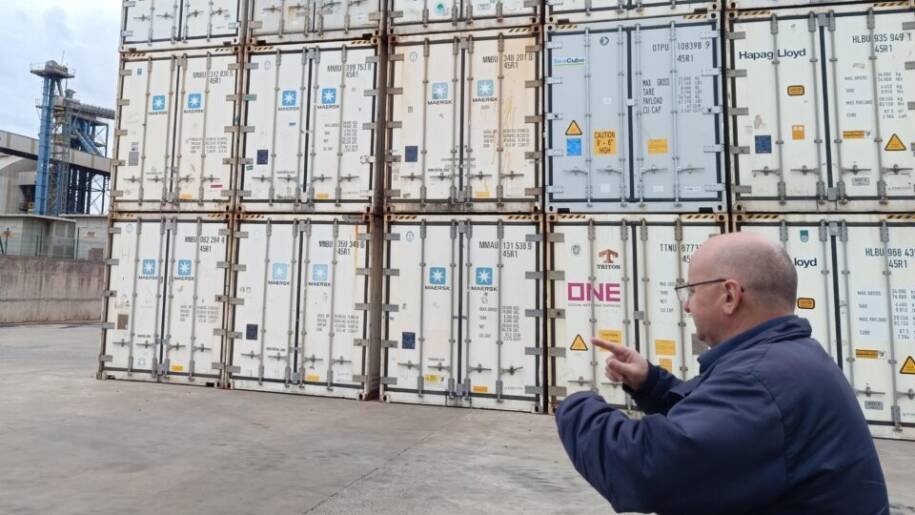 Cotriguaçu acelera logística para escoar 3,3 milhões de frangos diários