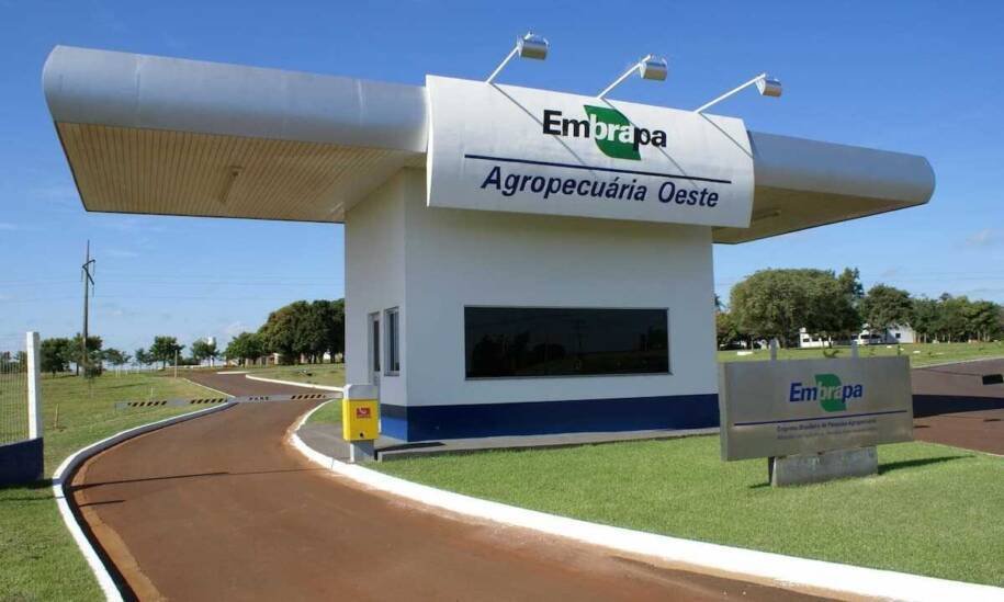 Embrapa Florestas conquista selo da FAO como Centro de Referência global