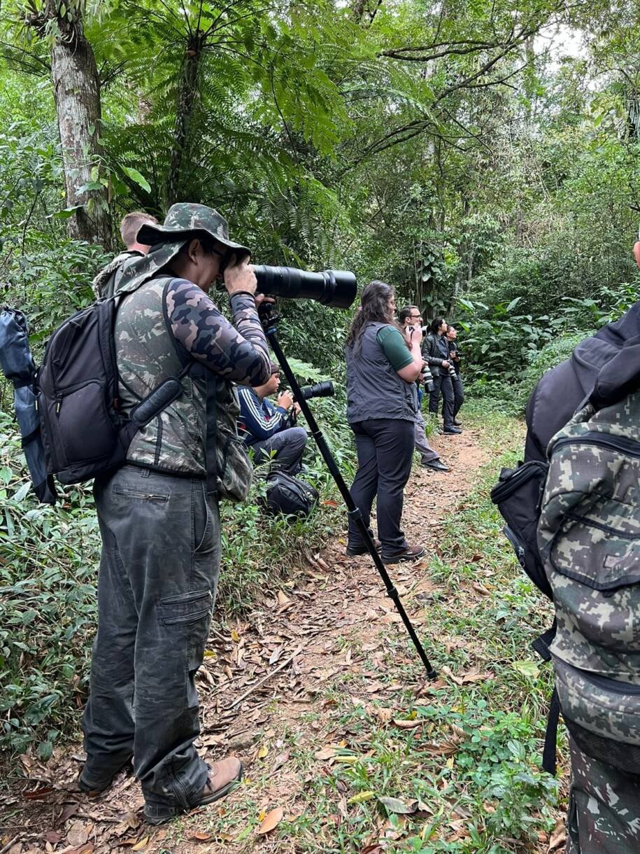 FAACI abre inscrições para Festival do Beija-Flor 2026 com atividades imperdíveis