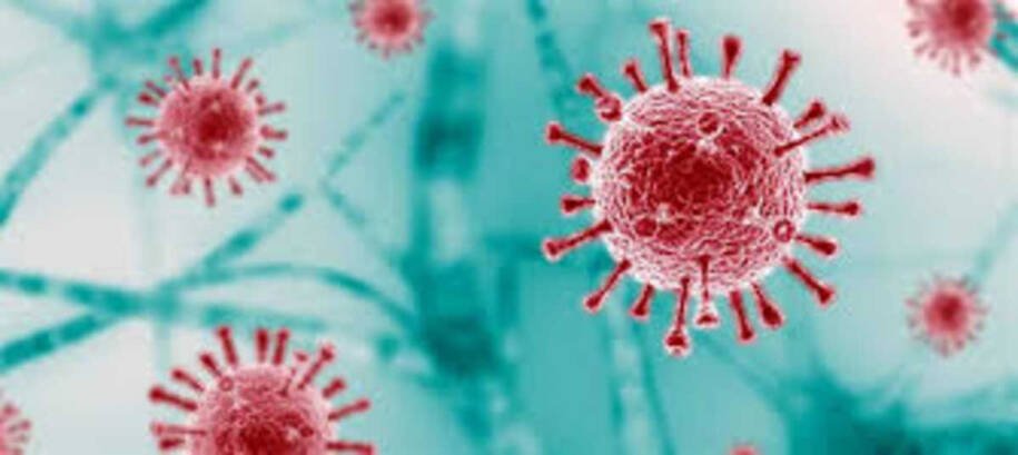 Fiocruz alerta: aumento de SRAG por rinovírus e Sars-CoV-2 preocupa Brasil