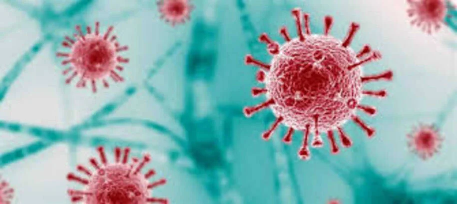 Fiocruz alerta: aumento de SRAG por rinovírus e Sars-CoV-2 preocupa Brasil