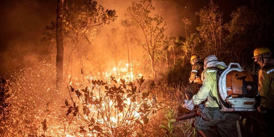 Ibama combate 20 focos de incêndio no Amazonas com 290 brigadistas mobilizados