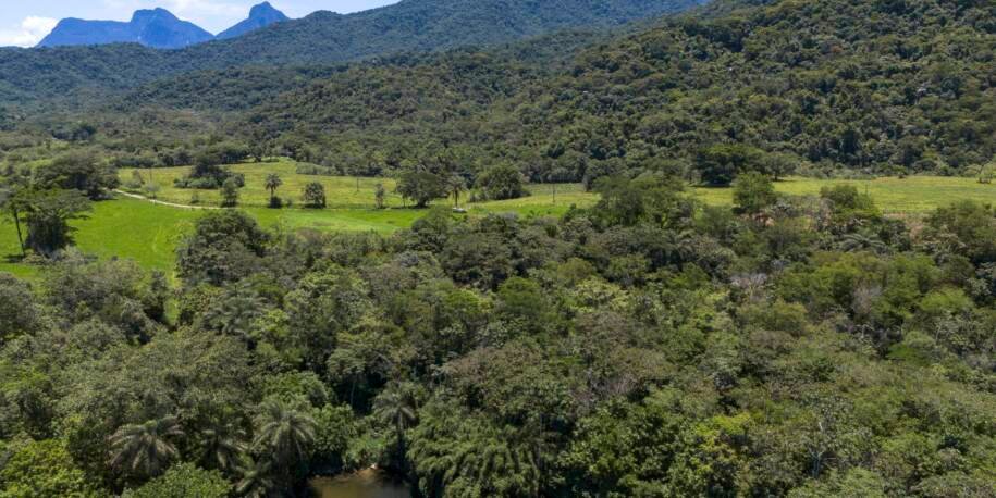 MapBiomas revela queda de 43% na vegetação nativa, mas fragmentação aumenta!