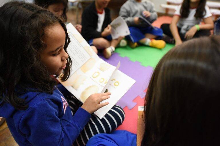 MEC Liberou Escolha de Livros para Creches e Pré-escolas até Outubro