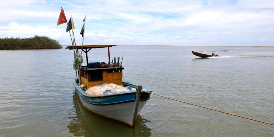 Ministérios da Pesca e Meio Ambiente liberam pesca após dez anos de proibição