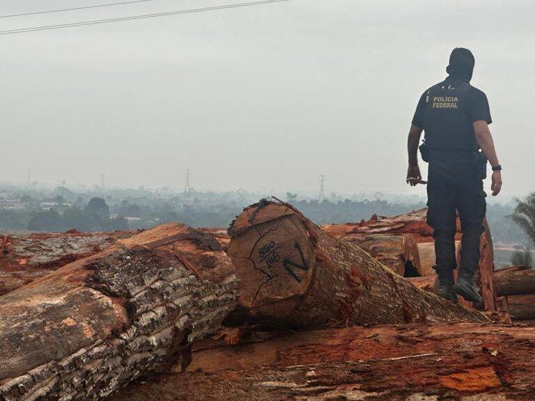 Polícia Federal e Ibama desvendam esquema ilegal de madeira no Pará