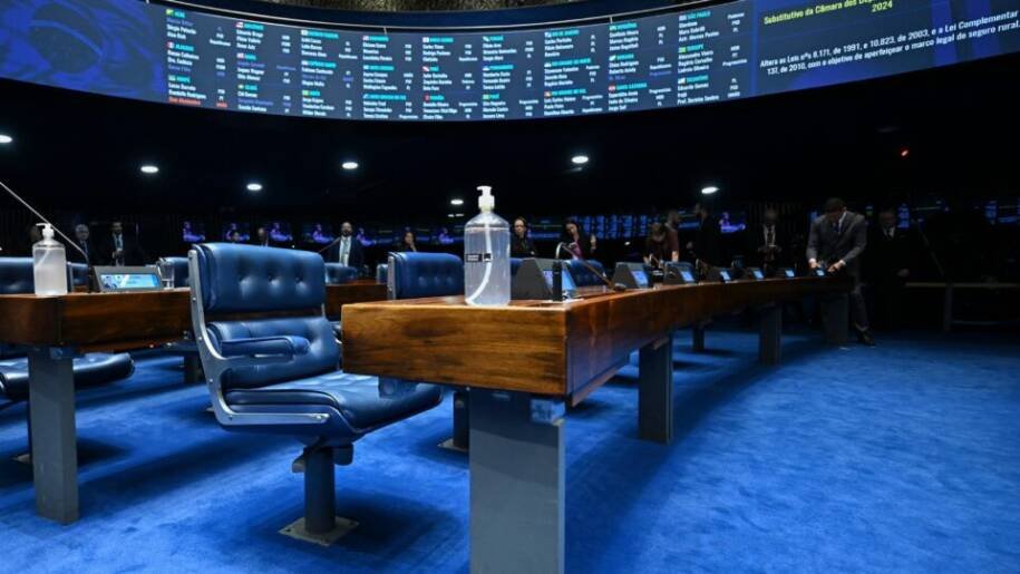 Senadores terão que enfrentar inflação e crime organizado nas eleições de 2026