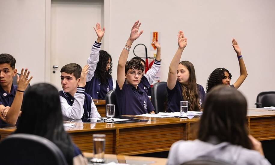 Vereadores mirins de Joinville defendem projeto contra assédio em Brasília