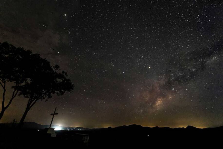 Victoria colombiana: nova planta aquática gigante é criticamente ameaçada de extinção