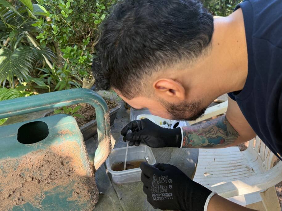 Vigilância Ambiental e Secretaria da Pessoa Idosa realizam operação e identificam larvas de dengue